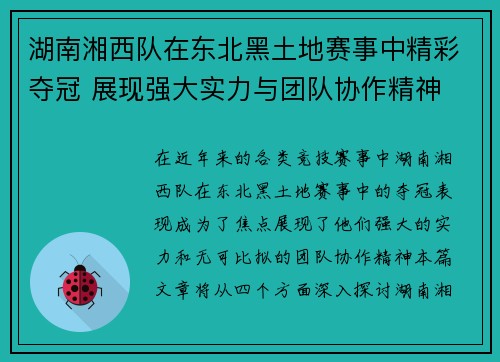 湖南湘西队在东北黑土地赛事中精彩夺冠 展现强大实力与团队协作精神